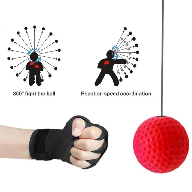 Boxing Speed Ball With Head Band Reflex and Boxing Trainer - Flex Verona